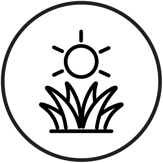 Image Benefits